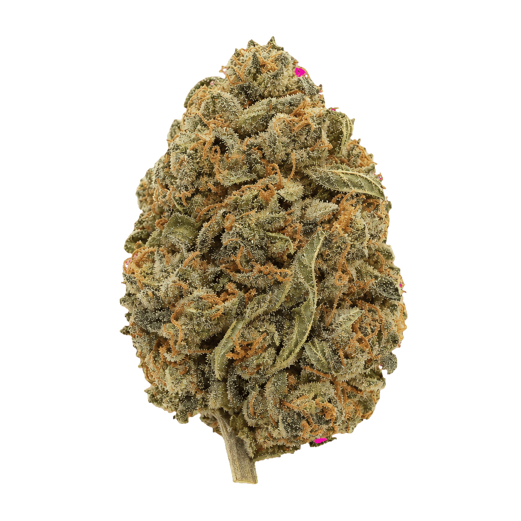 Blackberry Gelato