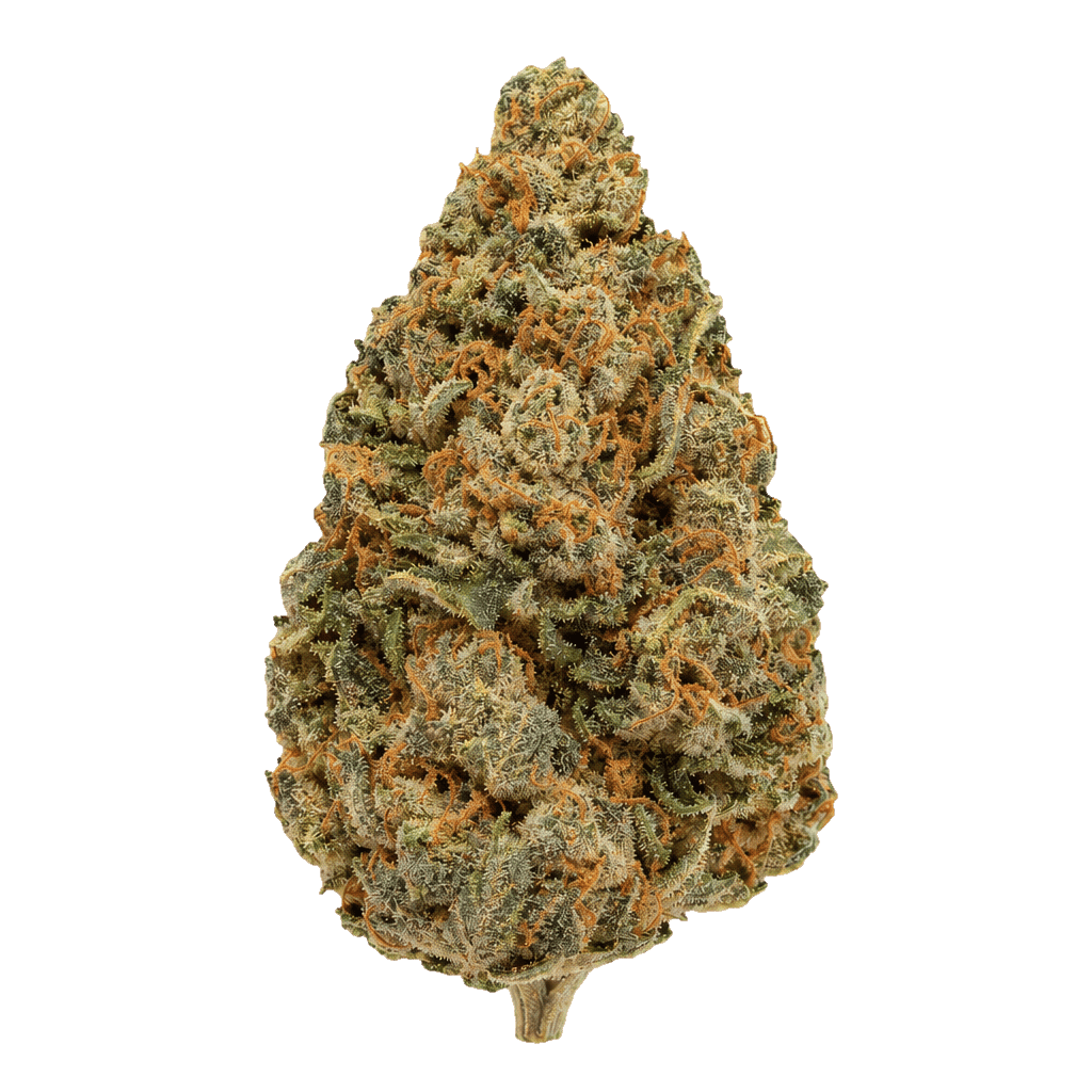 Moon Rocks