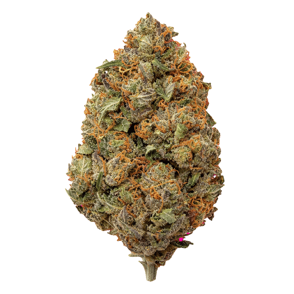 OZ Kush