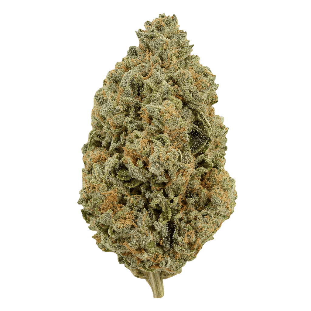 Blue Ritz