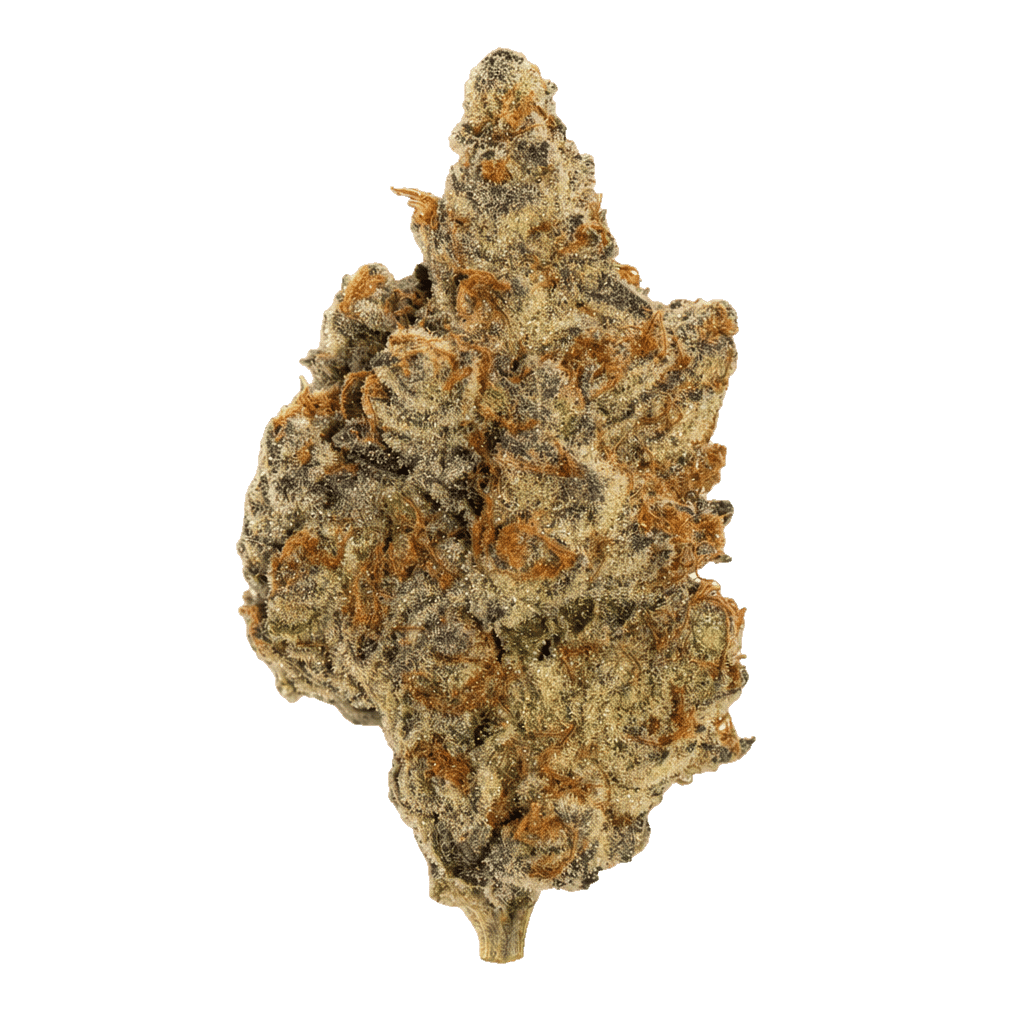 Purple Punch Mints