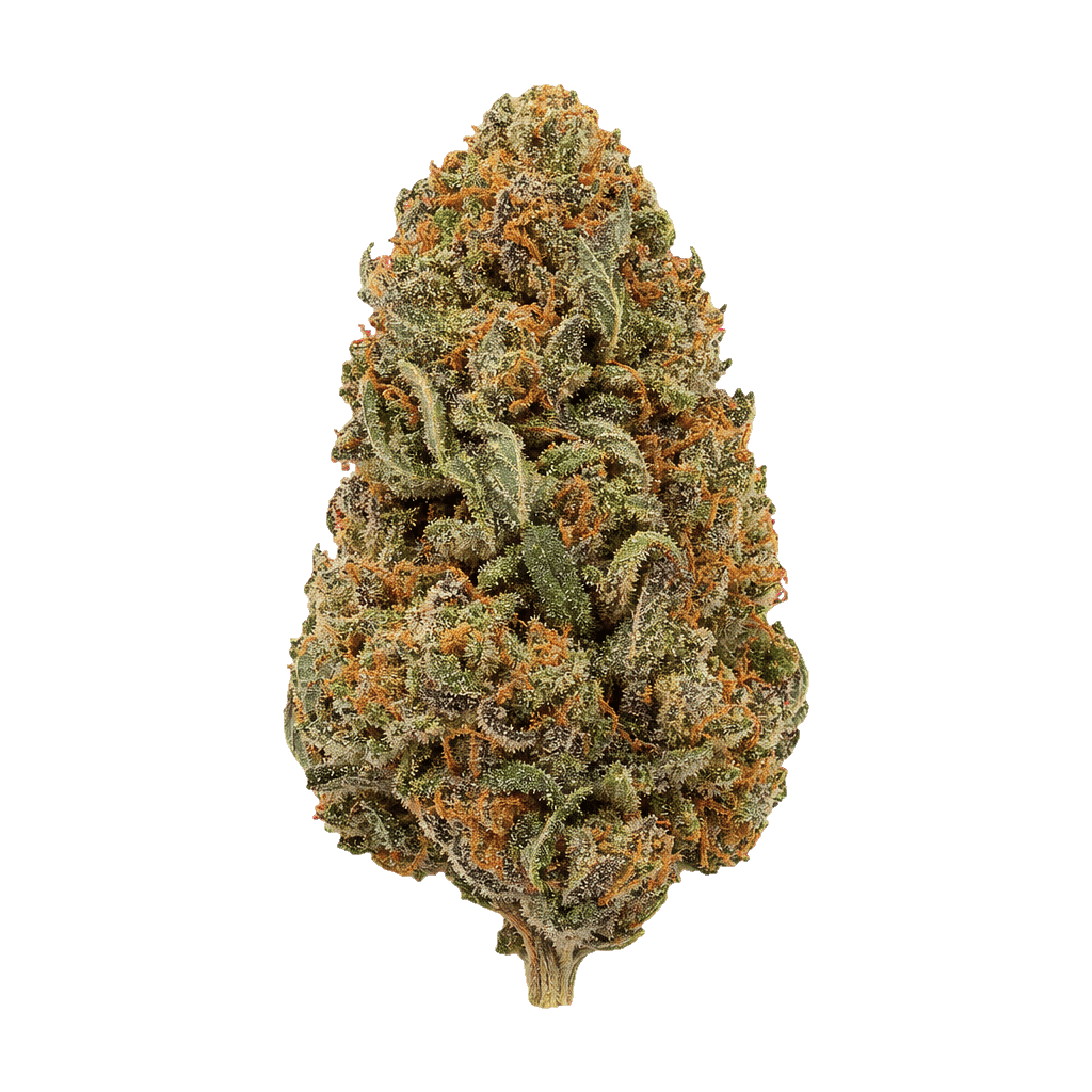 Apple Fritter