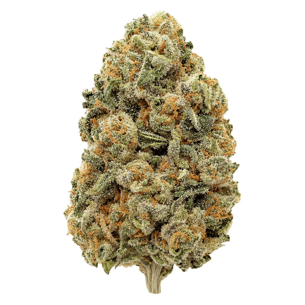 Waffle Truffle