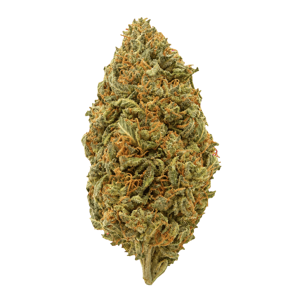 Tropic Smash