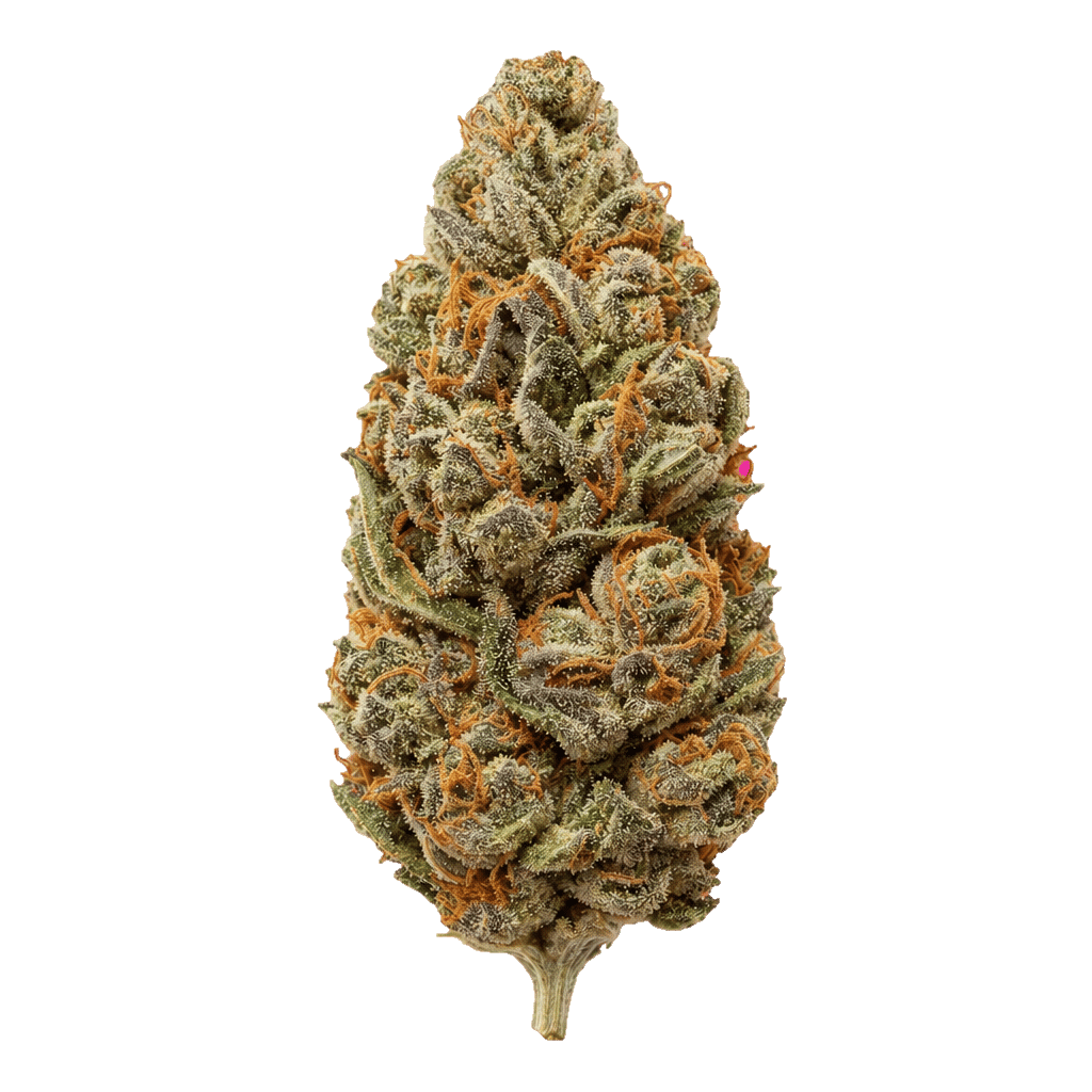 Sour Beach