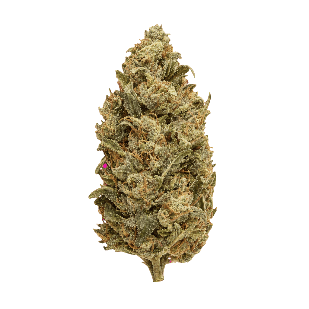 Grape Dosi
