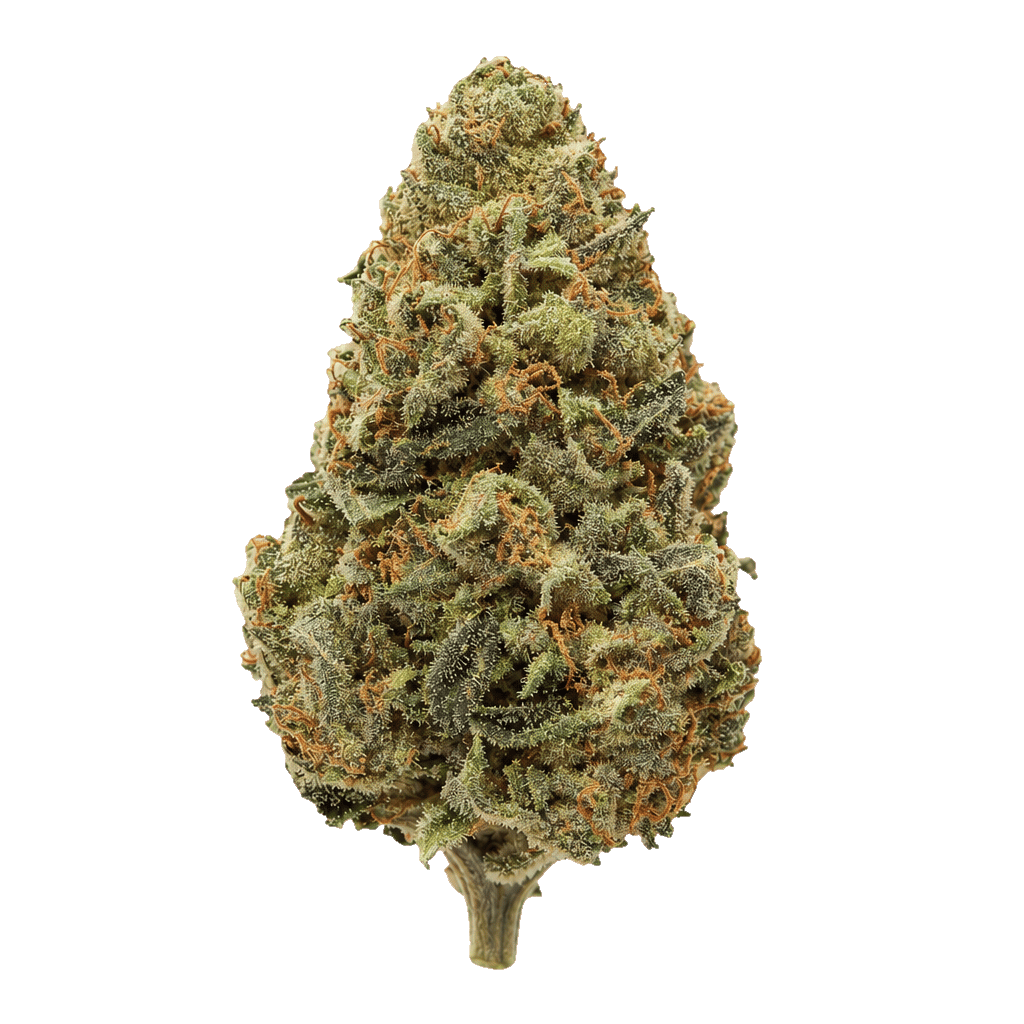 Atlantic Glue (Gorilla Glue) GG4