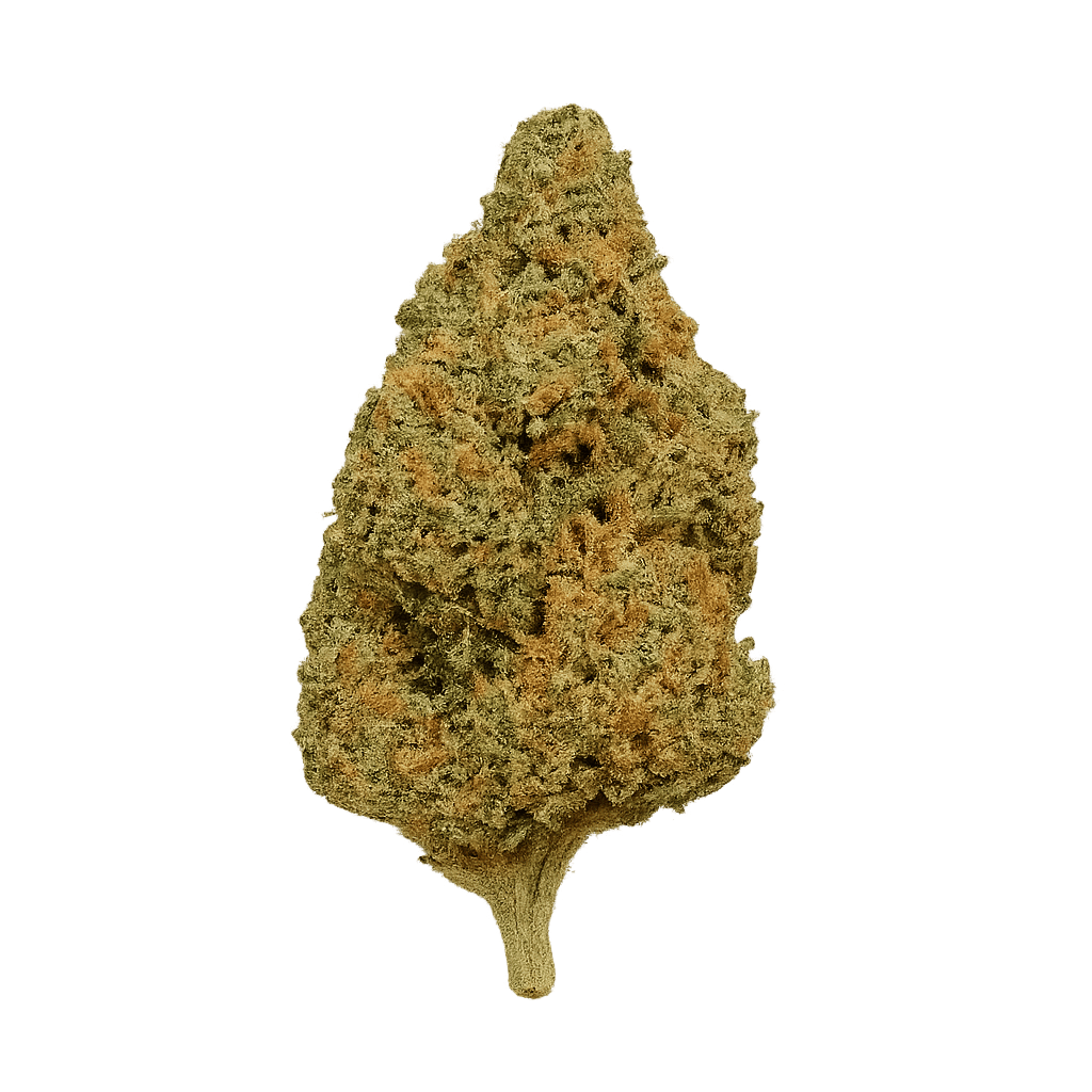 MAC 1 (Miracle Allien Cookies)