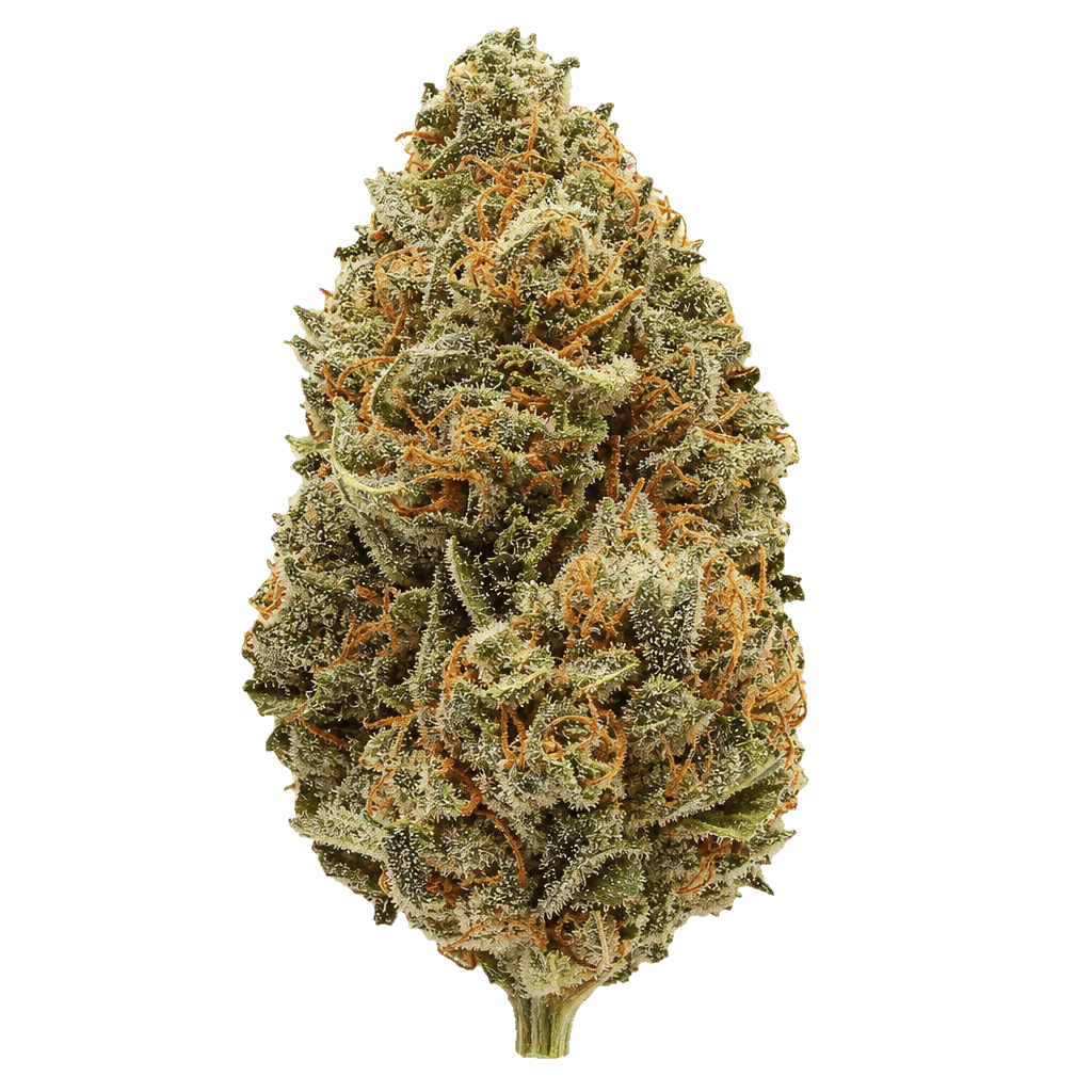Meringue 64
