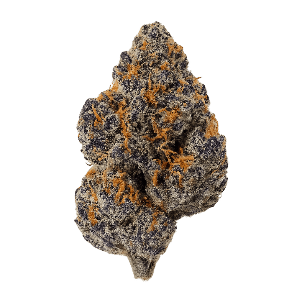 Splitter Gelato