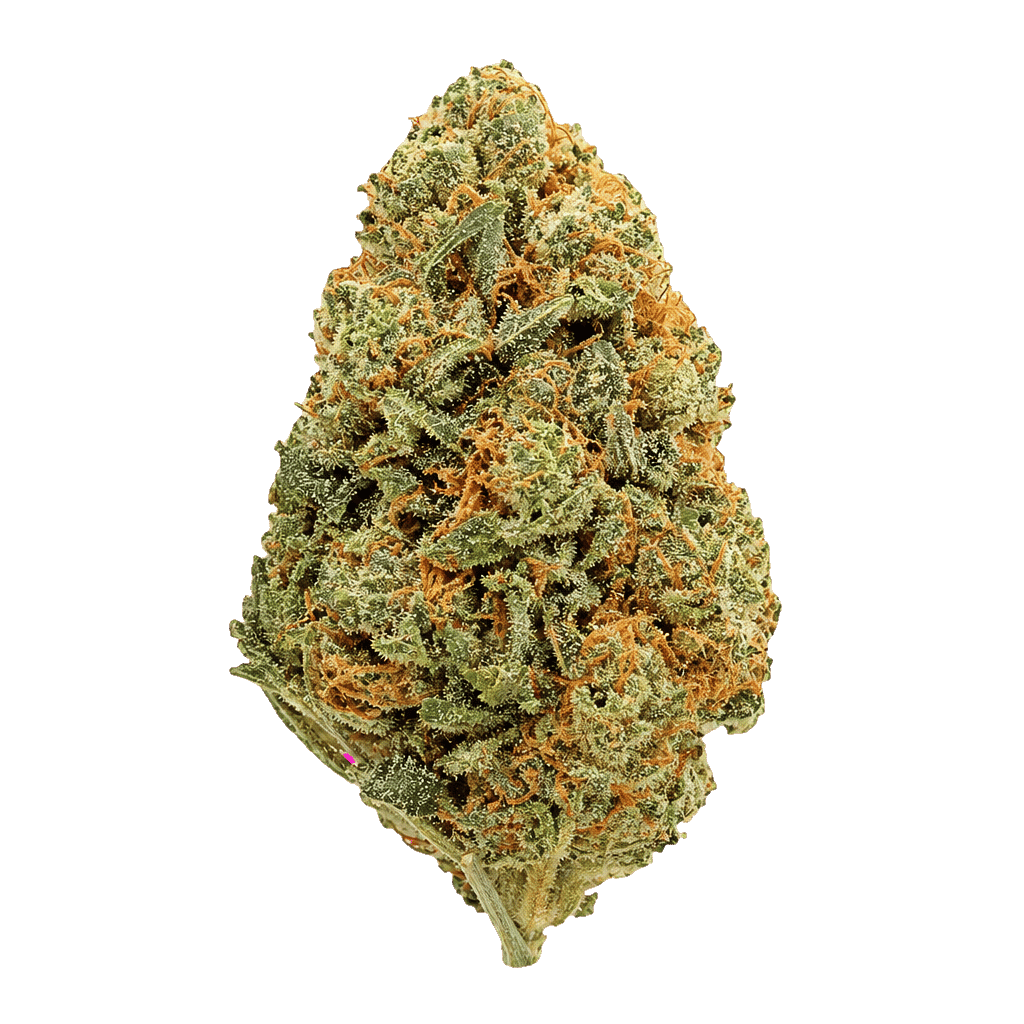 Bafokeng Choice X Granddaddy Purple