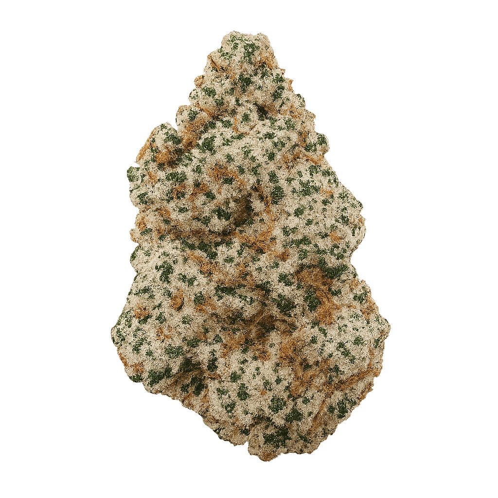 Orange Zainbow