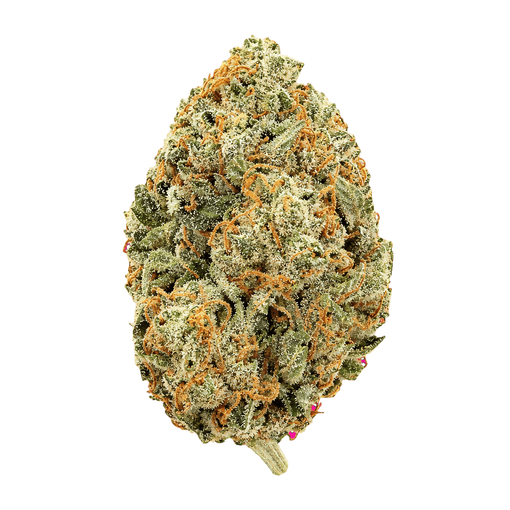Lemon Cherry Gelato (Sunset Sherbet x Girl Scout Cookies)