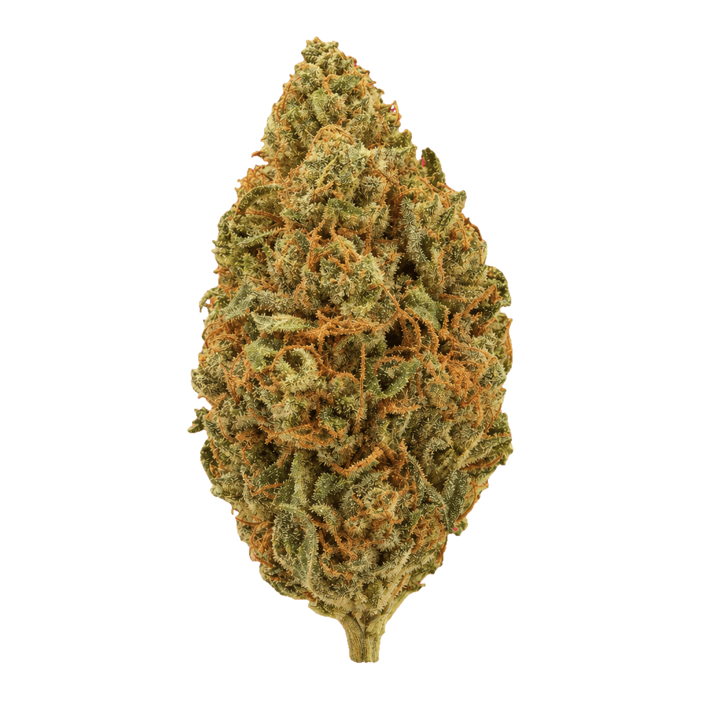 Golden Goat