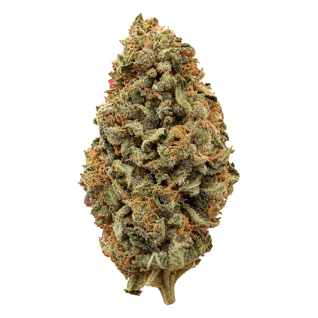 MAC 2 (Miracle Allien Cookies)