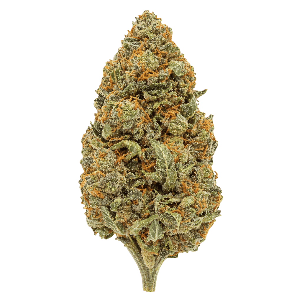 Amnesia Skittlez