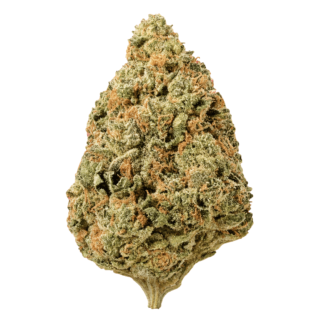 Apple Fritter x Cookies and Cream