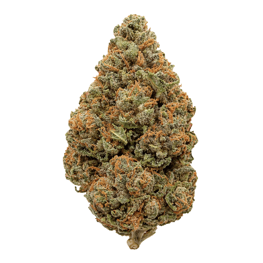 God Bud 2
