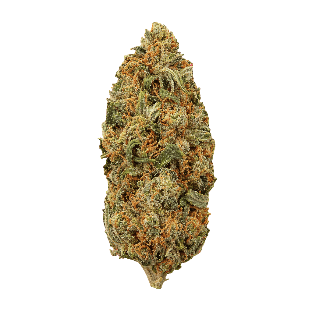 Karl OG (AK-OG Kush)