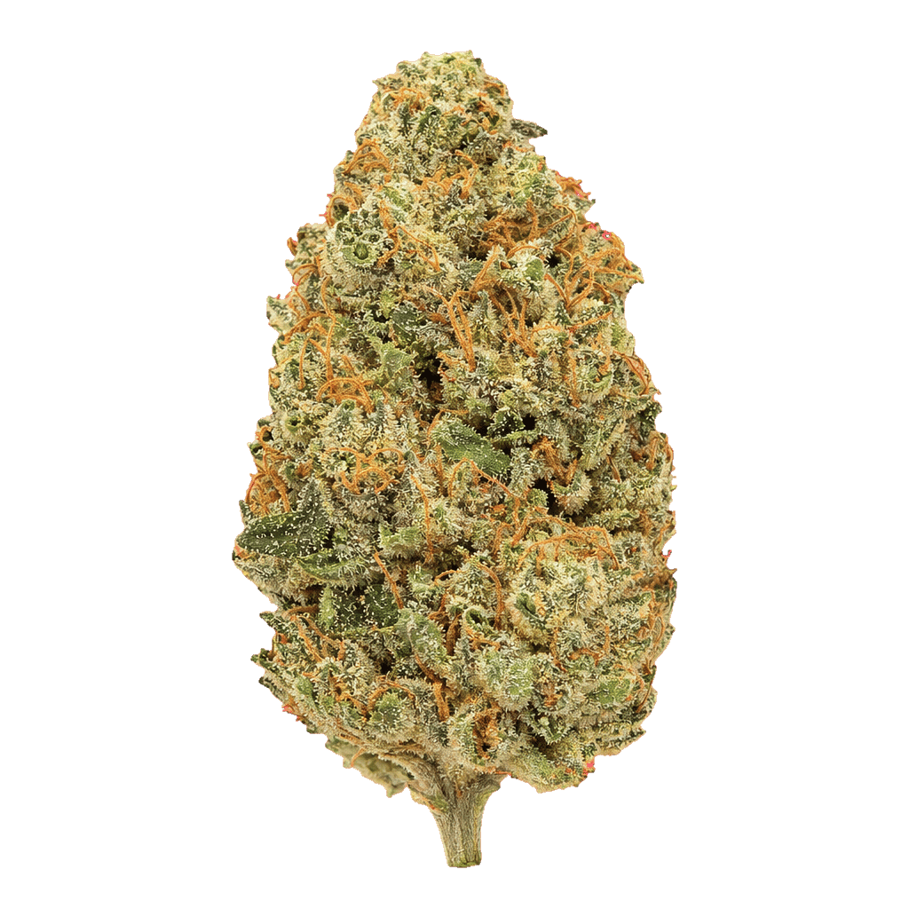 Lemon Sherbet