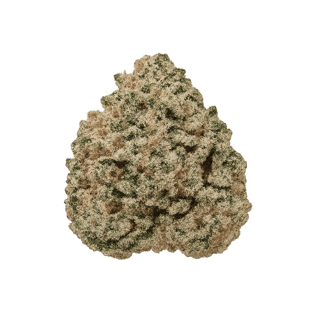 Gelato 42