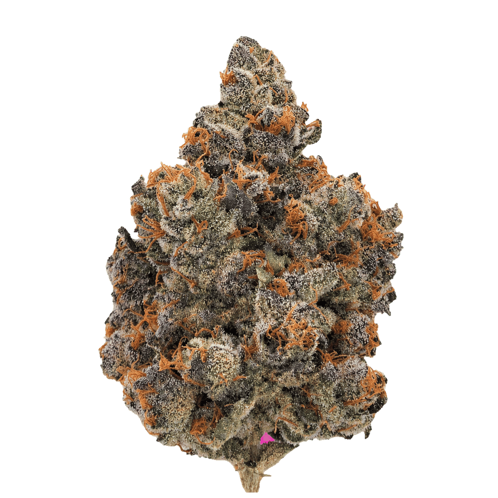 Purple Churro