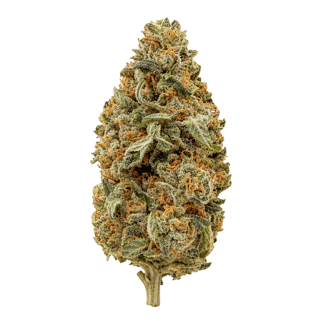 98 Aloha White Widow x Trainwreck