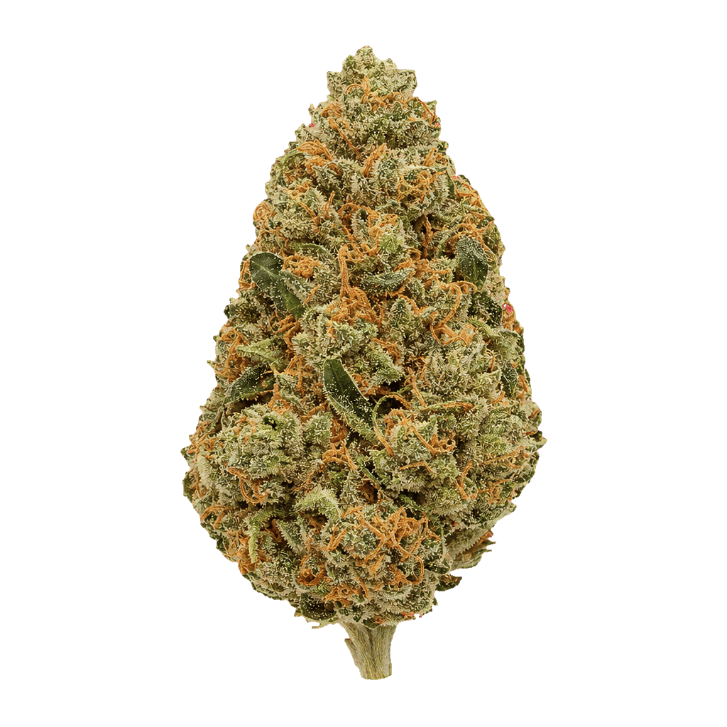 Cheddar Cheese