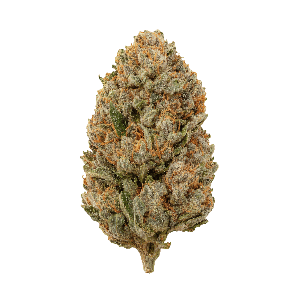 Kosher Tangie