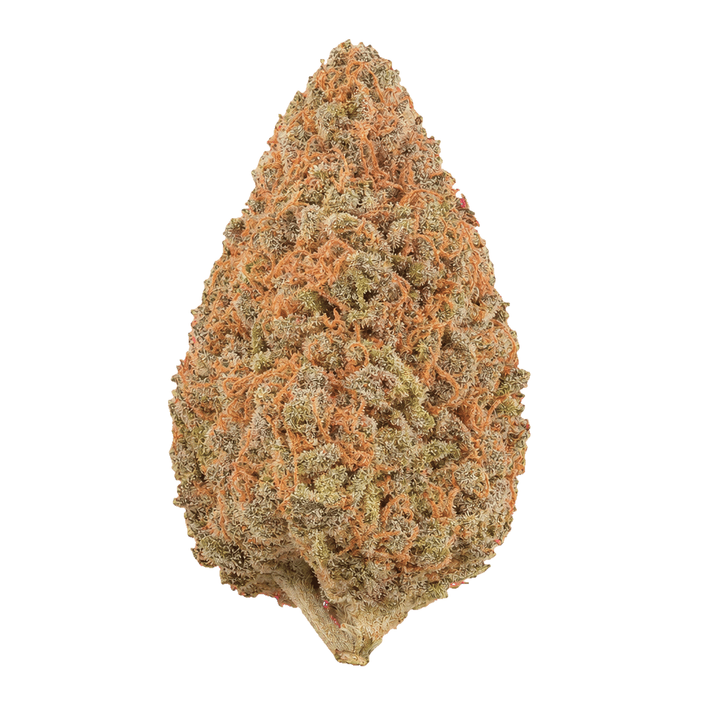 Pink Bubba