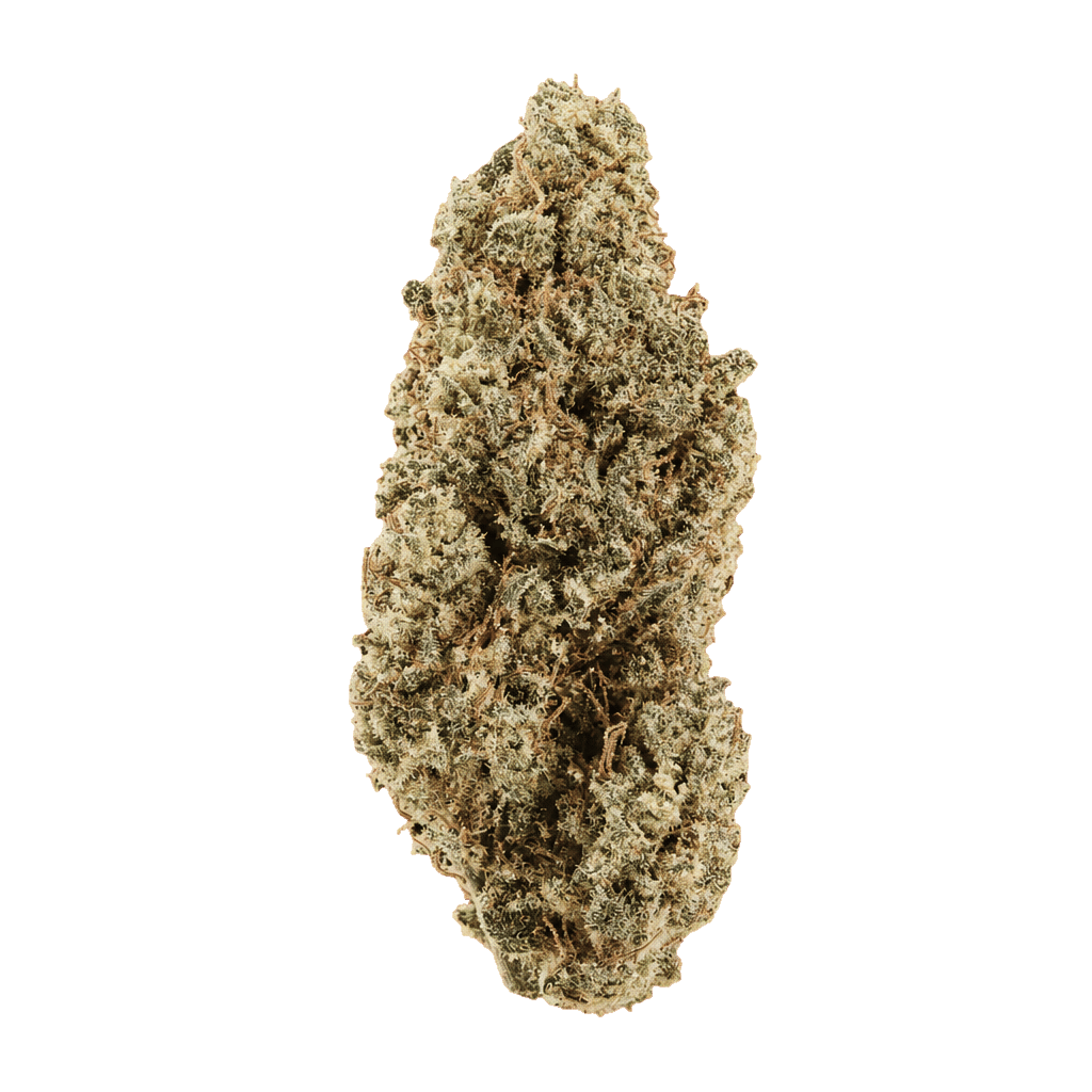 Capri Haze