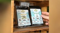 Keimstarke Cannabis Samen erkennen: Genetik, Lagerung und was eine Keimgarantie…
